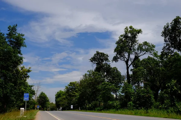 Ağaçlarla dolu dağ yolu. Yeşil ağaçlar ve gökyüzü ile doğal rota