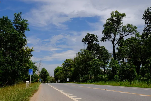 Ağaçlarla dolu dağ yolu. Yeşil ağaçlar ve gökyüzü ile doğal rota