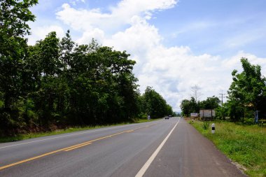 Ağaçlarla dolu dağ yolu. Yeşil ağaçlar ve gökyüzü ile doğal rota