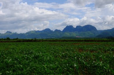 bulutlu mavi gökyüzü arkaplanındaki tarımsal alan görüntüsü 