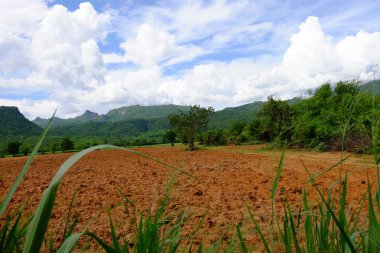 bulutlar ile mavi gökyüzüne karşı güzel doğa manzara 