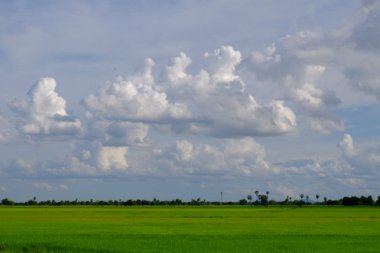 bulutlar ile mavi gökyüzüne karşı güzel doğa manzara 