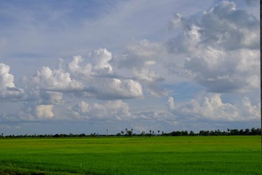 bulutlar ile mavi gökyüzüne karşı güzel doğa manzara 