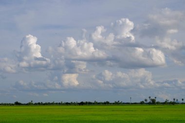 bulutlar ile mavi gökyüzüne karşı güzel doğa manzara 