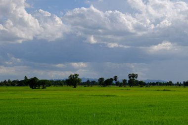 bulutlar ile mavi gökyüzüne karşı güzel doğa manzara 