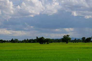 bulutlar ile mavi gökyüzüne karşı güzel doğa manzara 