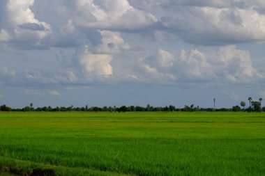 bulutlar ile mavi gökyüzüne karşı güzel doğa manzara 