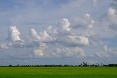 bulutlar ile mavi gökyüzüne karşı güzel doğa manzara 