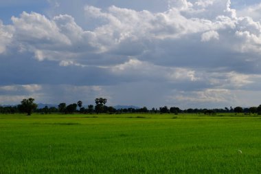 bulutlar ile mavi gökyüzüne karşı güzel doğa manzara 