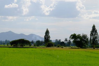 bulutlar ile mavi gökyüzüne karşı güzel doğa manzara 