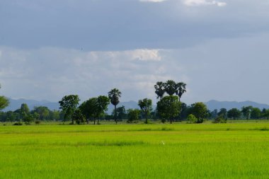 bulutlar ile mavi gökyüzüne karşı güzel doğa manzara 
