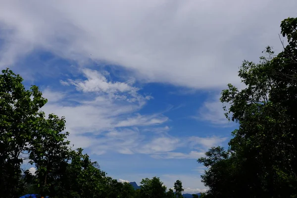 Pohon Langit Biru Berawan Latar Belakang — Stok Foto