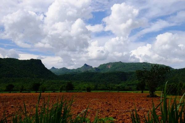 Vista Del Campo Agrícola Sobre Fondo Azul Nublado Del Cielo —  Fotos de Stock