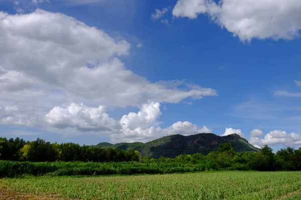 Piękny Krajobraz Przyrody Przed Błękitne Niebo Chmur — Zdjęcie stockowe