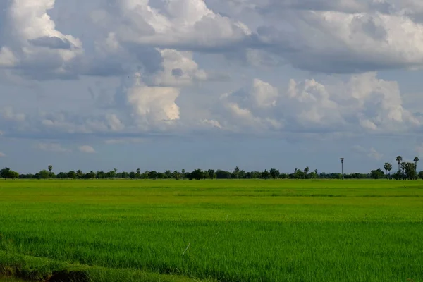 bulutlar ile mavi gökyüzüne karşı güzel doğa manzara 