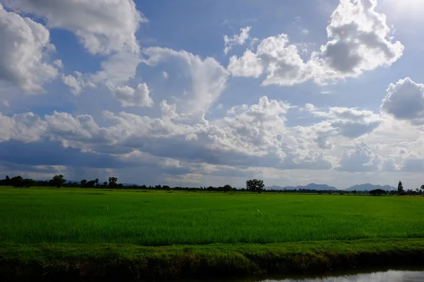 Красивый Природный Пейзаж Против Голубого Неба Облаками — стоковое фото