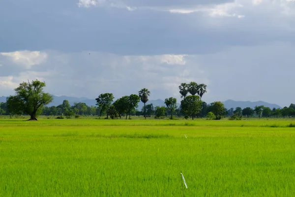 bulutlar ile mavi gökyüzüne karşı güzel doğa manzara 