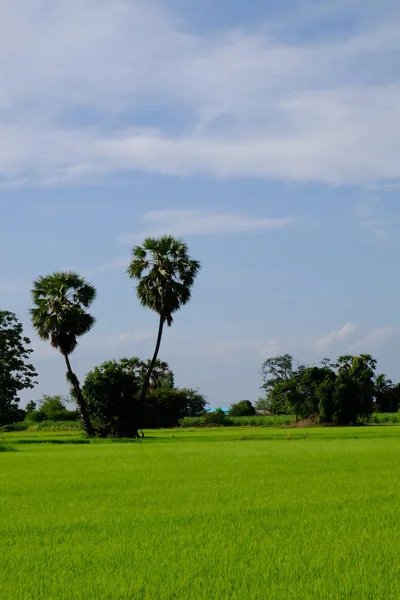 Beau Paysage Naturel Contre Ciel Bleu Avec Nuages — Photo