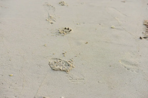 Pegadas Praia Areia Perto — Fotografia de Stock