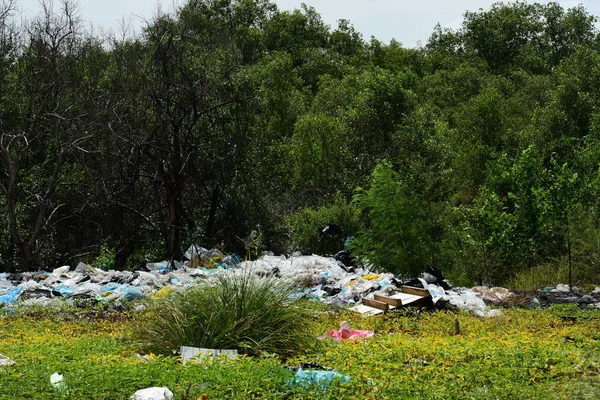 Énorme Ordures Dispersées Sur Herbe Dans Forêt — Photo