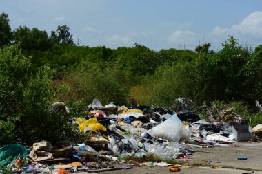 Ormandaki çimlere saçılmış koca bir çöp.