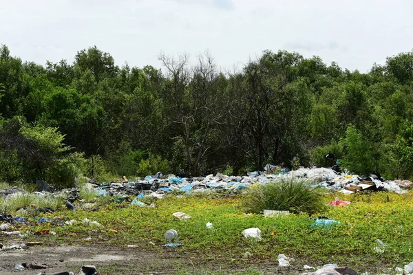 Floresta Verde Com Enorme Lixo Espalhado Grama — Fotografia de Stock