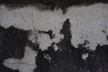 Çatallı yıpranmış bina duvarı