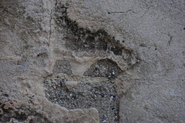 Çatallı yıpranmış bina duvarı