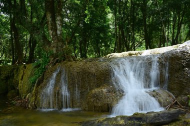 Tayland'da yağmur ormanı güzel şelale.
