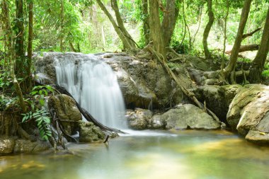 Tayland'da yağmur ormanı güzel şelale.