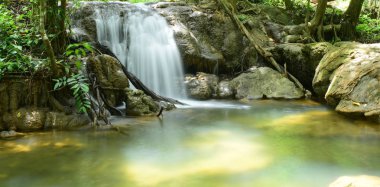 Tayland'da yağmur ormanı güzel şelale.