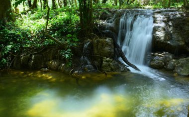 Tayland'da yağmur ormanı güzel şelale.