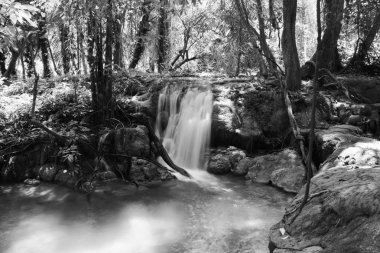 Tayland'da yağmur ormanı güzel şelale.