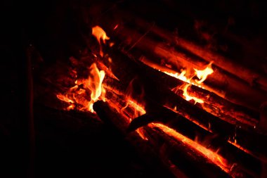 Ormanda kamp ateşi yanıyor, yakından görüş