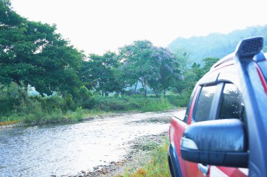 Nehrin yanındaki büyük ormanda kamp yapan manzaralı turizm ormanı.