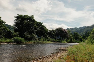 Gündüz vakti tropikal ormanda nehir