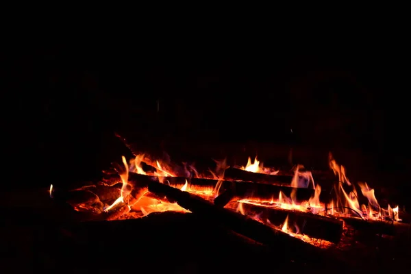 Ormanda Kamp Ateşi Yanıyor Yakından Görüş — Stok fotoğraf