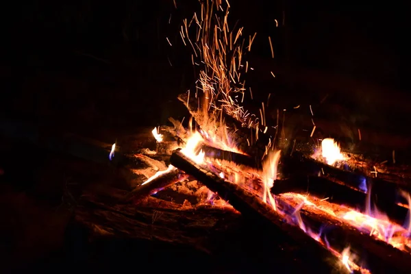 Lagerfeuer Brennt Wald Nahsicht — Stockfoto