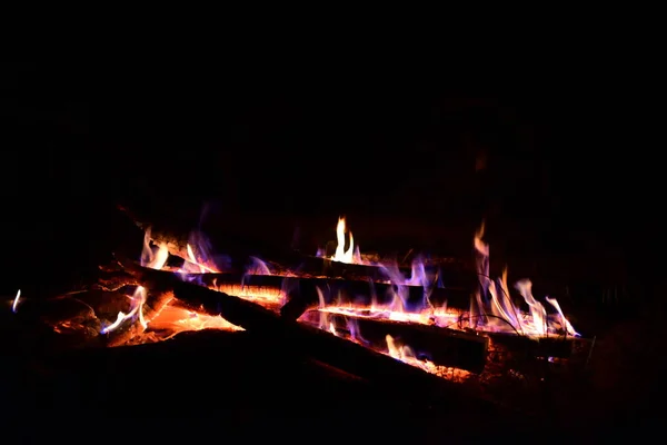 Lagerfeuer Brennt Wald Nahsicht — Stockfoto