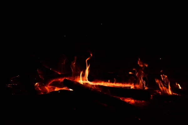 森の中でキャンプファイヤー燃焼 クローズアップビュー — ストック写真