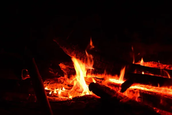Lagerfeuer Brennt Wald Nahsicht — Stockfoto