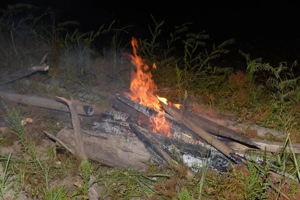 Holzscheite Der Nacht Brand Geraten — Stockfoto