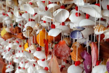 Deniz kabuklarından yapılmış dekoratif perdeler