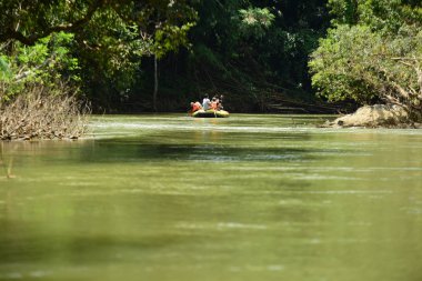 Tayland - 6 Ekim 2019: Bir grup turist yeşil ormanda nehirde kayak yapıyor. 