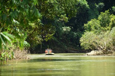 Tayland - 6 Ekim 2019: Bir grup turist yeşil ormanda nehirde kayak yapıyor. 
