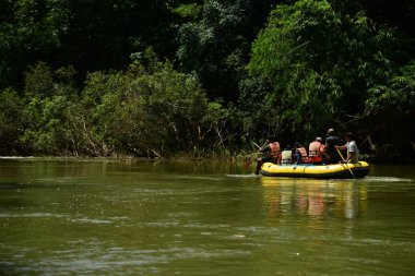 Tayland - 6 Ekim 2019: Bir grup turist yeşil ormanda nehirde kayak yapıyor. 