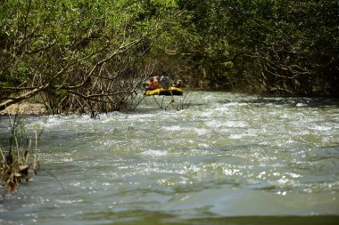 Tayland - 6 Ekim 2019: Bir grup turist yeşil ormanda nehirde kayak yapıyor. 