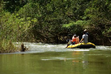 Tayland - 6 Ekim 2019: Bir grup turist yeşil ormanda nehirde kayak yapıyor. 