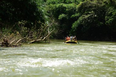 Tayland - 6 Ekim 2019: Bir grup turist yeşil ormanda nehirde kayak yapıyor. 