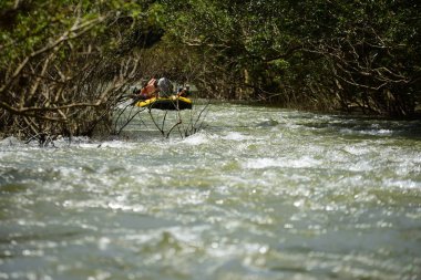 Tayland - 6 Ekim 2019: Bir grup turist yeşil ormanda nehirde kayak yapıyor. 